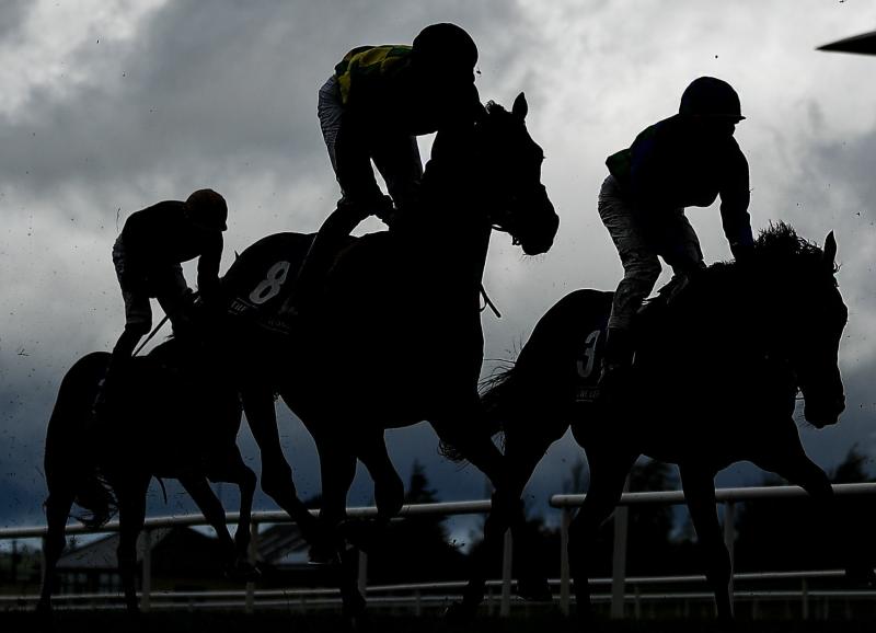 Betting Column: 'Royal' can reign supreme in Fighting Fifth