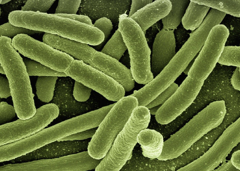 ALERT: Irish cheese product recalled from shops due to presence of harmful bacteria