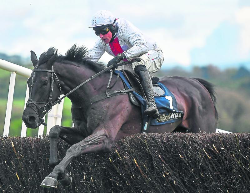 Betting Column: Nube Negra fancied to land Tingle Creek at Sandown