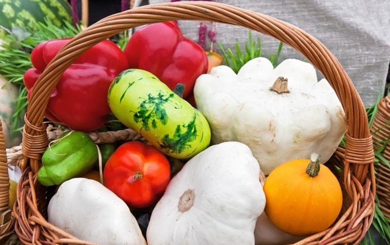 Your home vegetable garden made easy in association with Garden Seeds Market