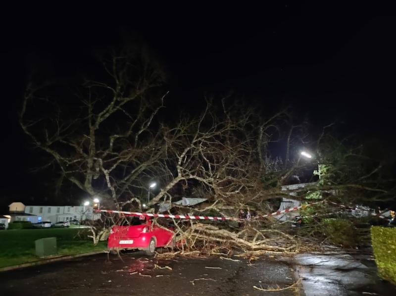 Power outages and fallen trees across Limerick as crews deal with Storm Barra aftermath 