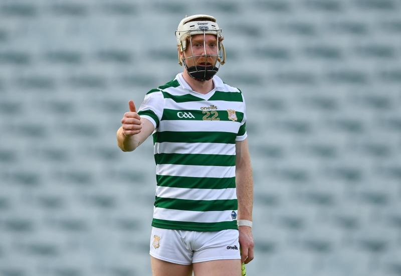 Limerick hurling star among eight nominees for the RTE Sport Sportsperson of the Year award