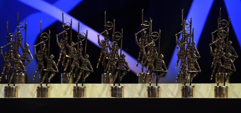 WATCH: Limerick hurlers react to their record-breaking All-Star awards