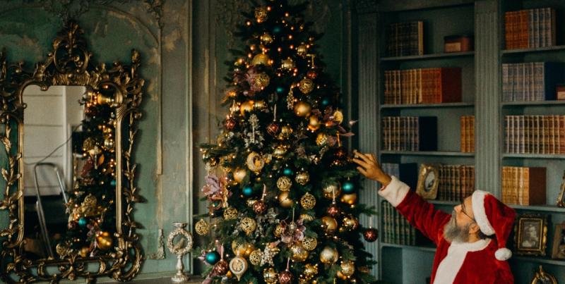 Green Fingers: Oh Christmas tree.. how do I care for thee