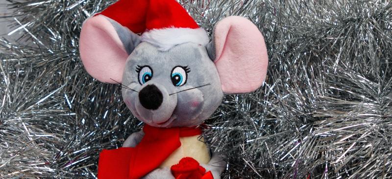 Wild About Wildlife: A visit  from the Christmas mouse 