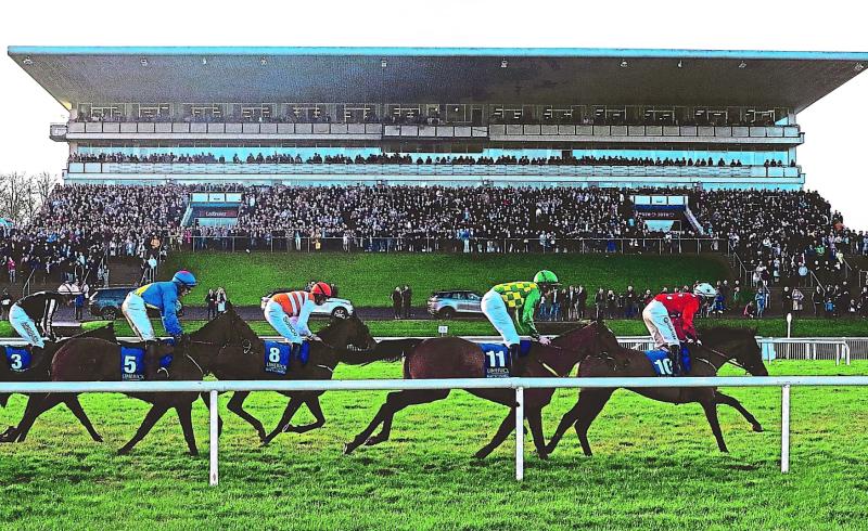 Under starter's orders for Limerick Christmas Racing Festival