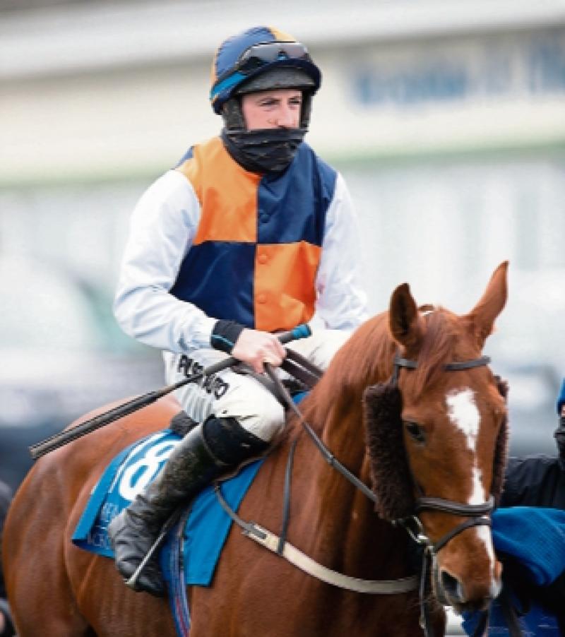 WATCH: Local successes and 125/1 winner on second day of Limerick Christmas Racing Festival