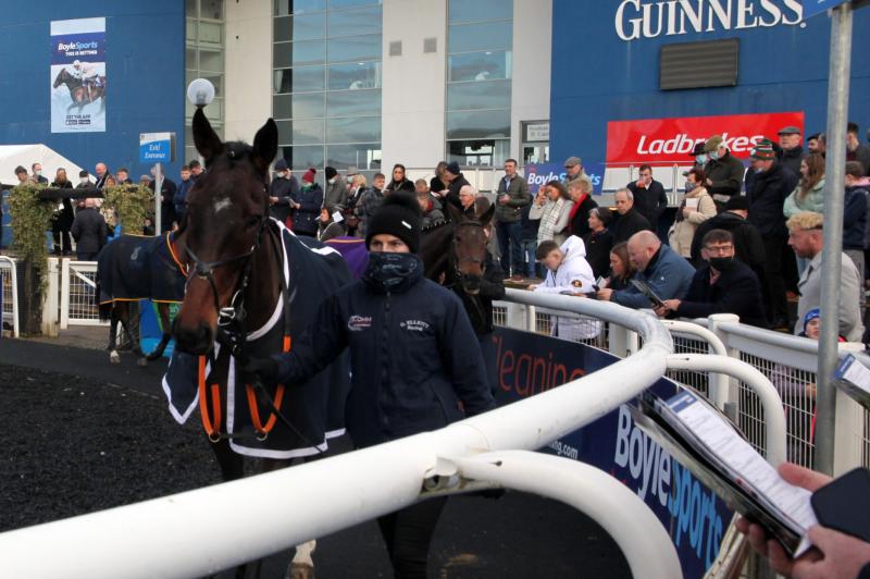 WATCH: Limerick Racecourse hosts third day of Christmas Racing Festival