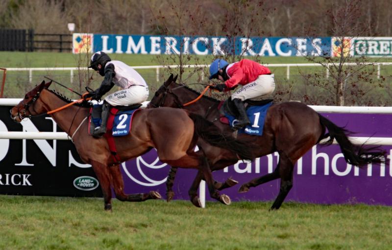 Limerick Christmas Racecourse 'an overwhelming success' - Paddy Dunican