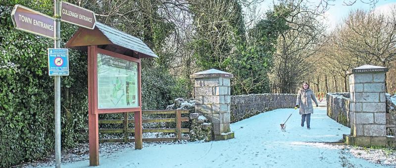Then & Now: A delightful Demesne Walk in Newcastle West 