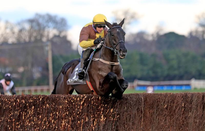 Galopin Des Champs features among Festival contenders