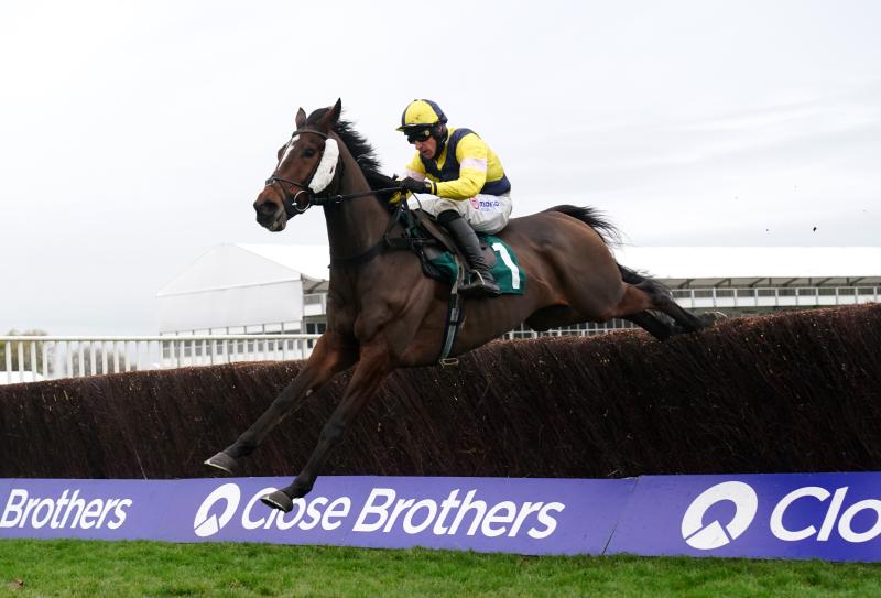 Skelton content to tackle Clarence task with Amoola Gold