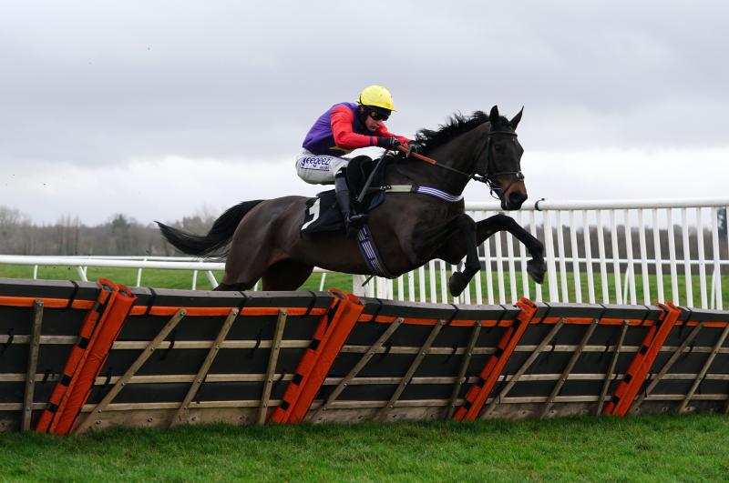 Scott not totally dismissing Lingfield hurdles run for Dashel Drasher
