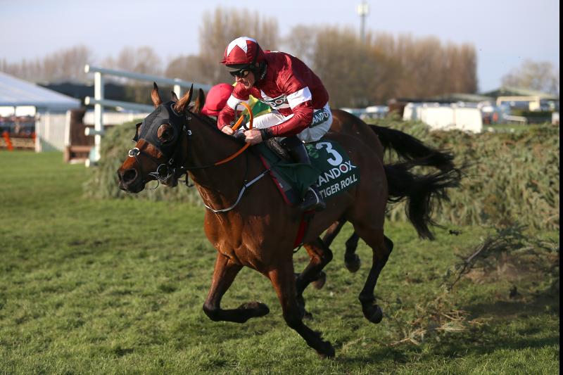 National hero Tiger Roll back over hurdles at Navan