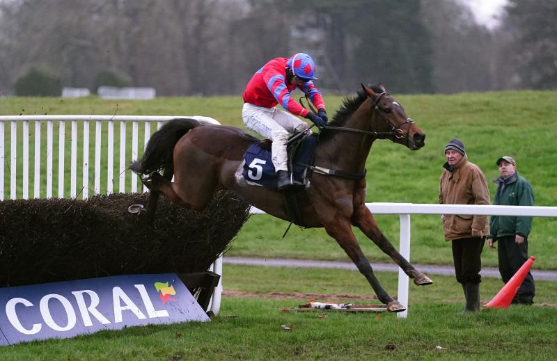 National Hunt date the ultimate aim for Pats Fancy