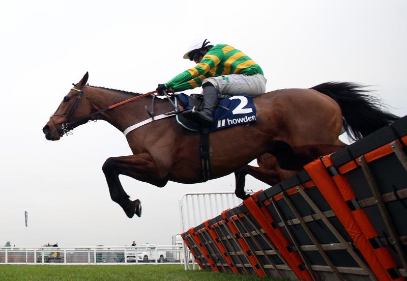 Champ goes on trial for Cheltenham this weekend