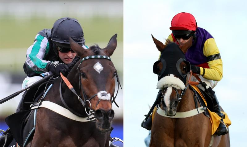 Altior and Native River to parade at Newbury