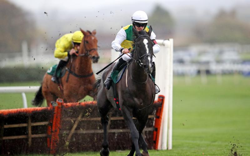 Hillcrest has Prestige option after Cheltenham mishap