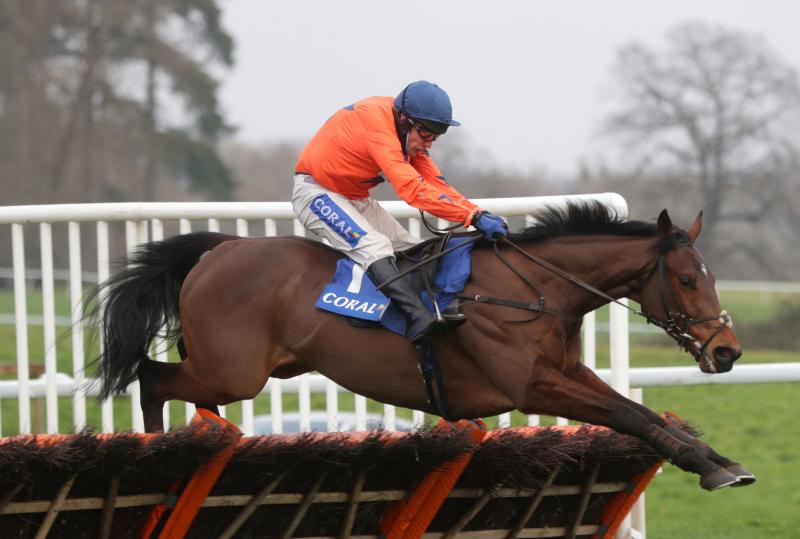 ‘All roads’ lead to Cheltenham for Adagio after weekend return