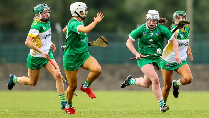 Limerick camogie ace Caoimhe Costelloe 'delighted' with win over Offaly