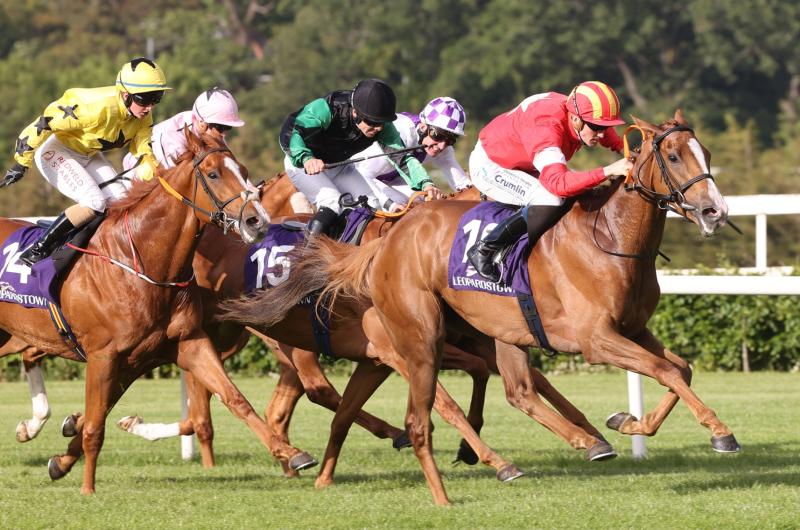 Limerick jockeys enjoying prolific spell on the track