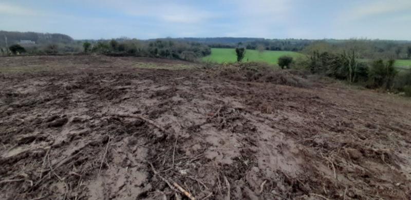 Ancient archaeological monument bulldozed in county Limerick