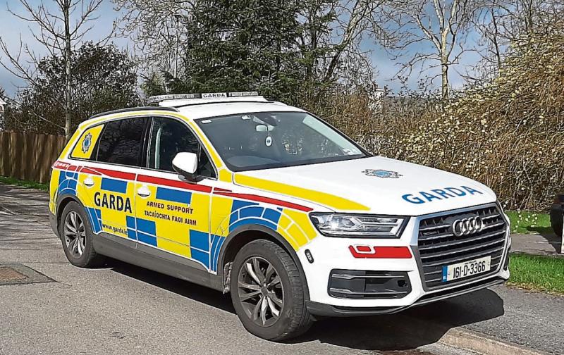 Limerick gardai involved in searches following  over €100k of farm machinery and cattle stolen
