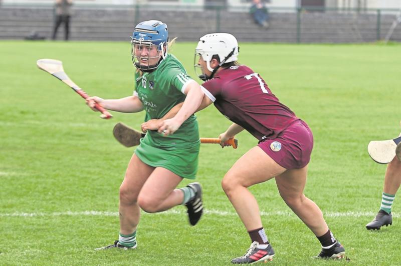Two Limerick teams begin their All-Ireland Camogie Championship campaigns