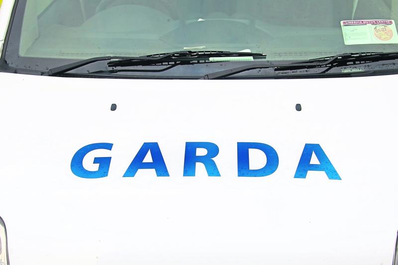 Limerick teen charged over theft from Ukrainian