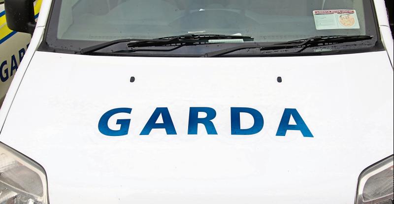 Woman swings golf club during dispute in Limerick caught on camera