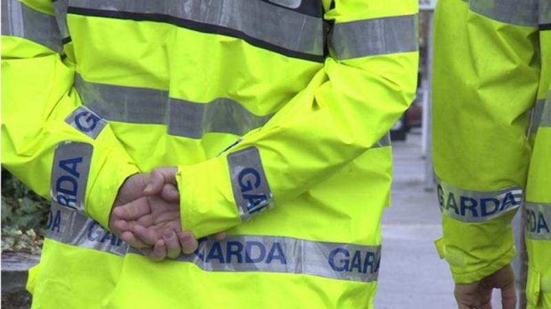 LATEST: Garda&iacute; release details of car that struck pedestrian in Wexford hit-and-run incident