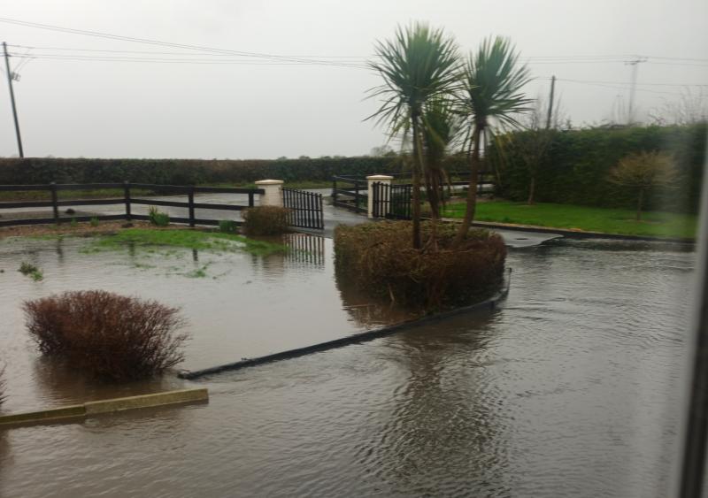 County Limerick man calls on Council to help with flooded garden