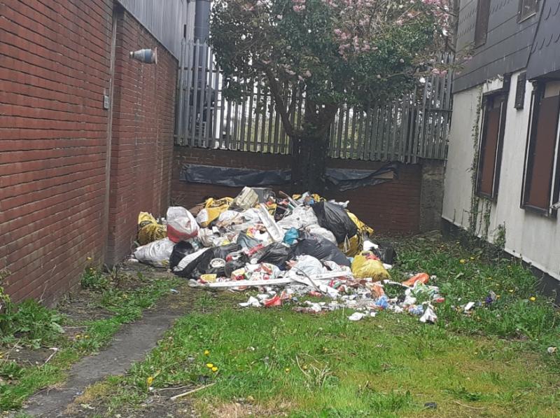 Council to stage clean-up of significant illegal dumping in Limerick