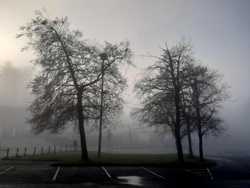 Met Éireann issue Status Yellow ice and fog warning for the country