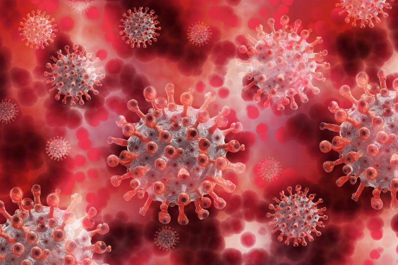 Daily Covid numbers: Under 10,000 cases reported