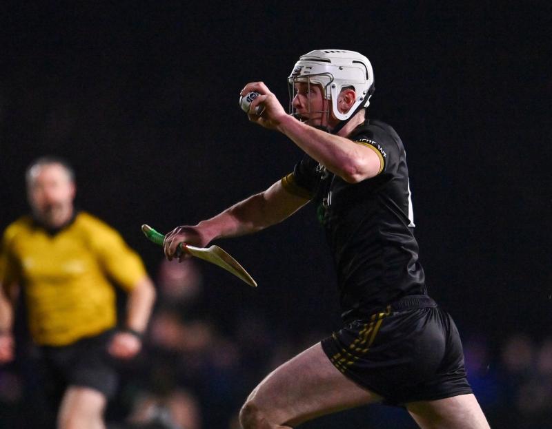 Fitzgibbon Cup