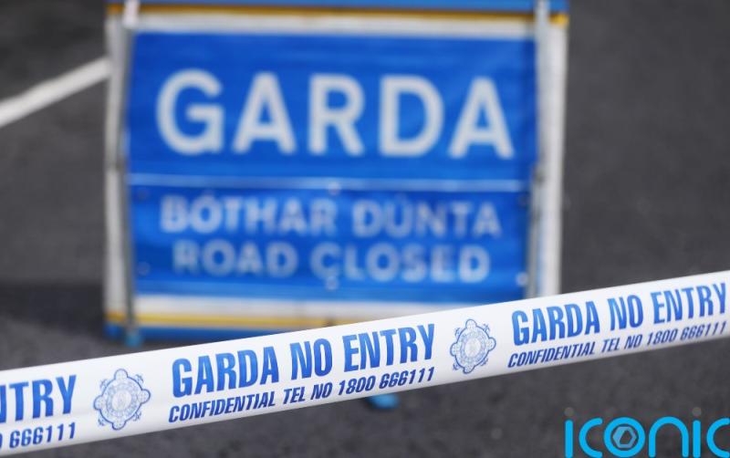 Two Gardai in hospital after driver crashes into patrol car