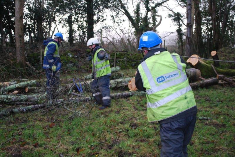 Hundreds remain without power in Limerick as Storm Eunice forces several schools to close