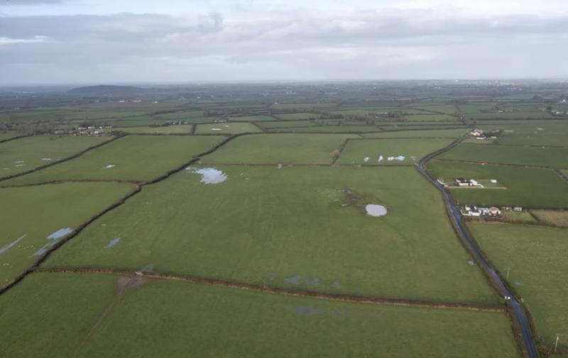 Top quality Limerick farm up for auction