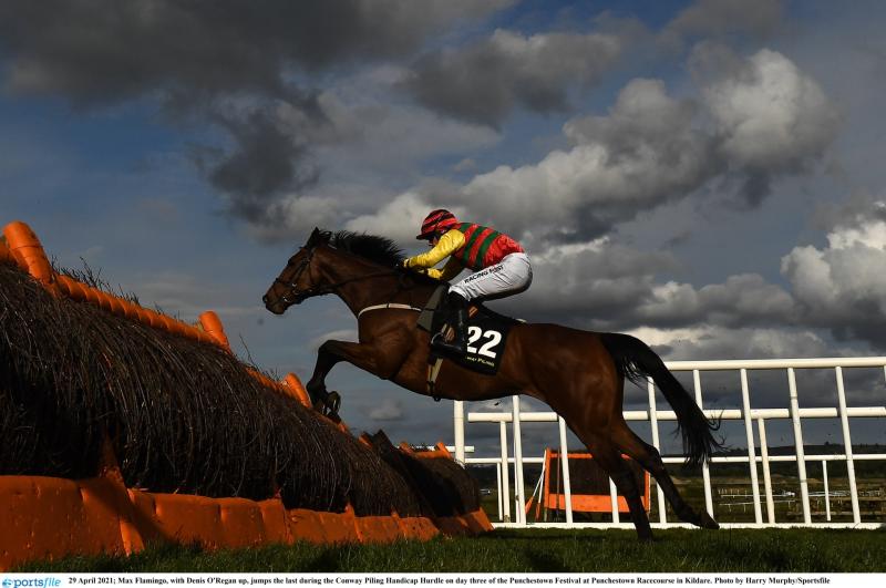 RACING: Top tips for Sunday's card at Leopardstown 