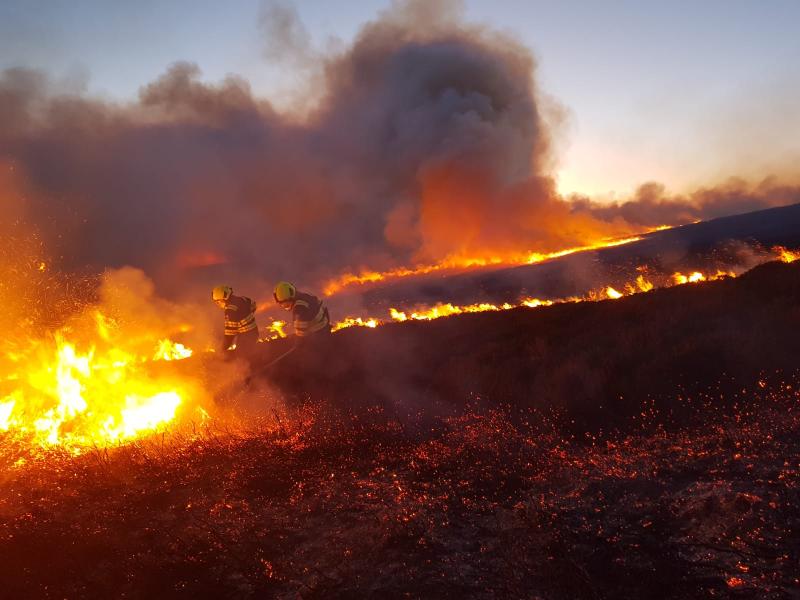 Risk of wild fires in areas such as in Kildare 
