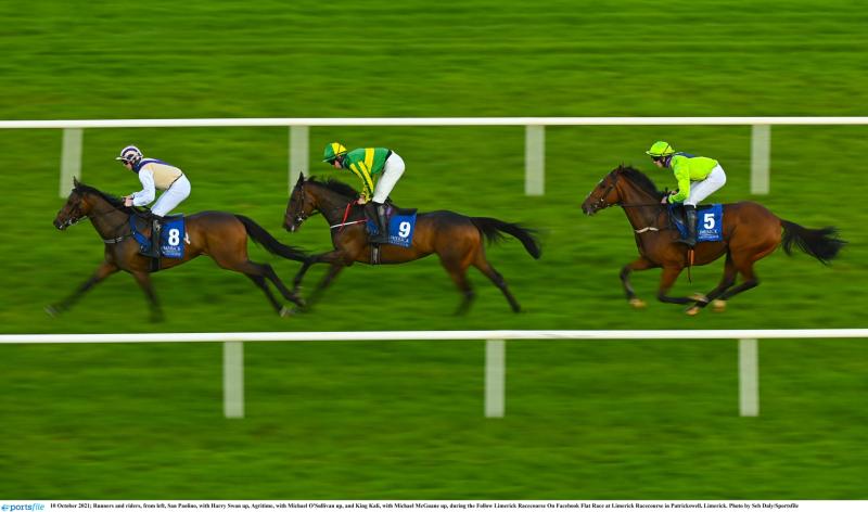 RACING: Tips and analysis for Thursday’s card at Limerick
