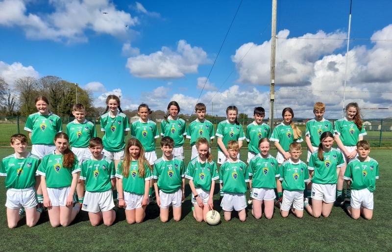 Limerick panels confirmed for Primary Game football games with Clare