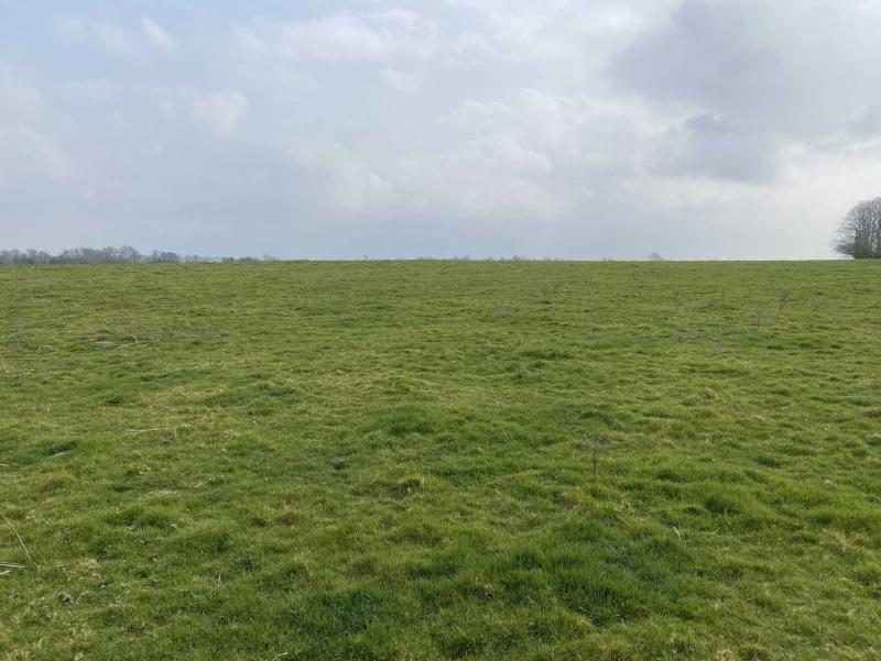 Five Limerick farms set to hit the market