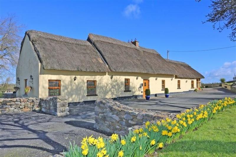 Limerick Property Watch: Modern living in the countryside