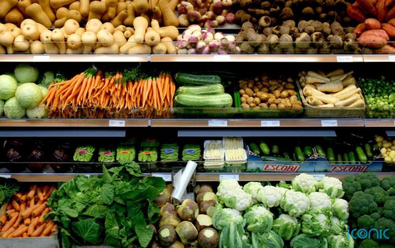 New study suggests a vegan diet can drastically help improve the health of overweight people