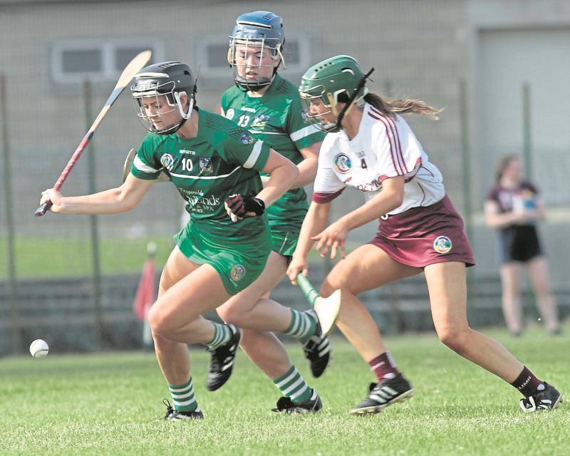 Limerick camogie fixture forms double-header with big Leinster hurling championship tie