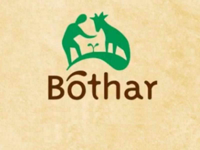 Limerick-based charity seeks to appoint new CEO