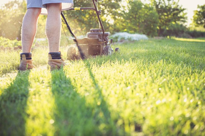 Green Fingers: Mowing season: What to do with the clippings 