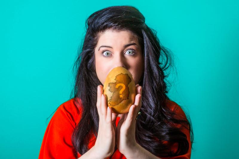 Award-winning Limerick artist receives Platform 31 bursary